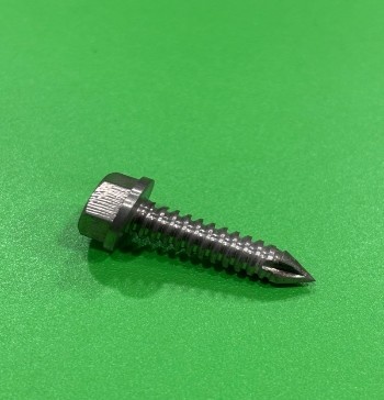 Pointed Screw