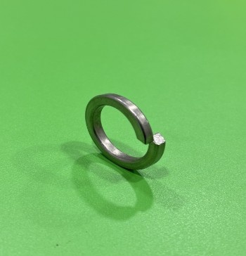 Ring Washer