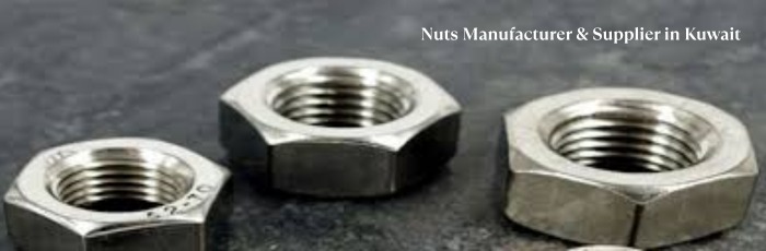 Nuts Manufacturer & Supplier in Kuwait