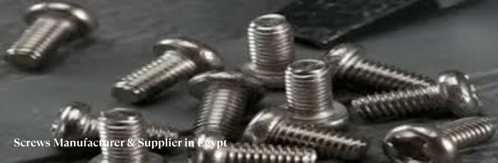 Screws Manufacturer & Supplier in Egypt
